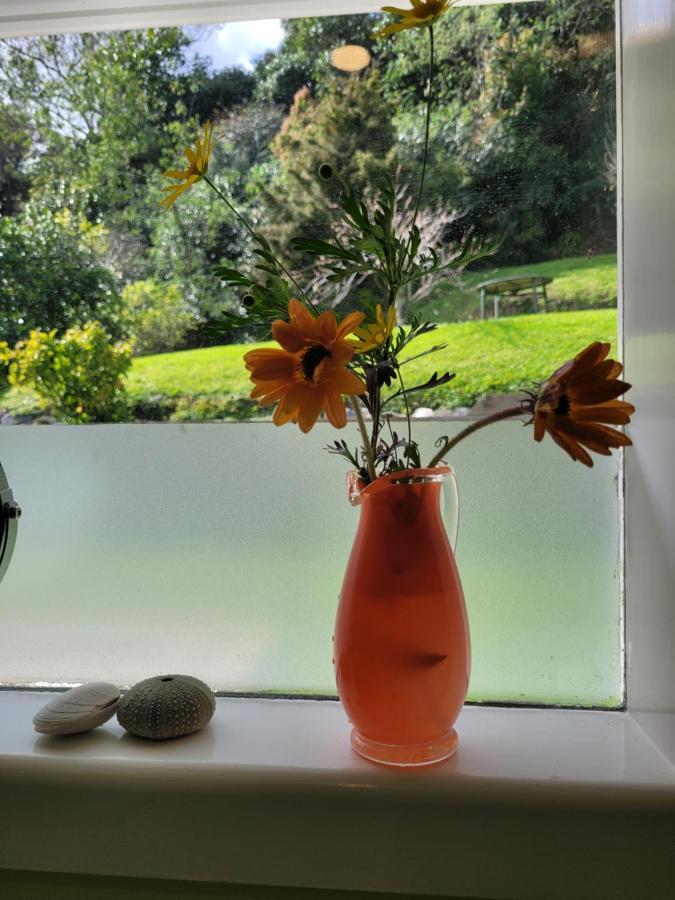 City Retreat Whangarei Zewnętrze zdjęcie